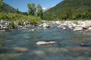 ID: 2924 (10106)