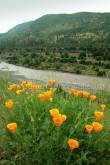 ID: 2928 (10106)