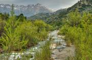 ID: 6762 (10113)