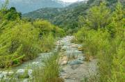 ID: 6763 (10113)