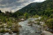 ID: 6764 (10113)