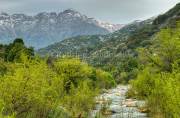 ID: 6765 (10113)