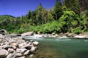 ID: 2929 (10106)