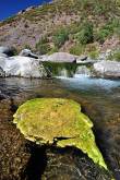 ID: 2936 (10106)