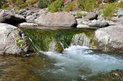 ID: 2937 (10106)