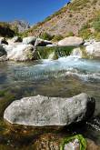 ID: 2938 (10106)