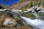 ID: 2940 (10106)