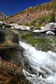 ID: 2941 (10106)