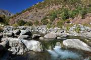 ID: 2942 (10106)
