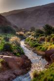 ID: 7451 (10102)