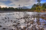ID: 7407 (10110)