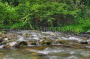ID: 8695 (10109)