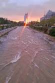 ID: 5077 (10113)
