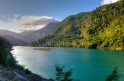 ID: 8204 (10110)