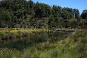 ID: 1047 (10109)