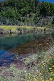 ID: 1051 (10109)