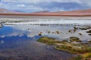 ID: 7700 (10102)