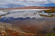 ID: 7712 (10102)