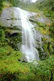 ID: 6723 (10109)