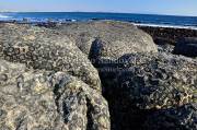 ID: 5280 (10103)