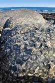 ID: 5281 (10103)