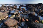 ID: 5287 (10103)
