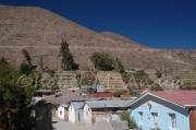 ID: 1503 (10115)