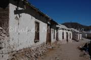 ID: 1513 (10115)