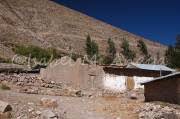 ID: 1514 (10115)