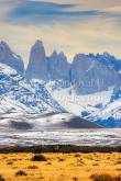 ID: 9029 (10112)