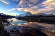 ID: 9019 (10112)