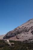 ID: 1525 (10115)