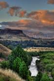 ID: 7037 (10111)