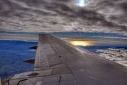 ID: 7443 (10112)