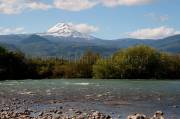 ID: 7506 (10109)