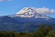 ID: 7509 (10109)