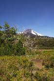 ID: 1058 (10109)