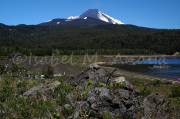 ID: 1061 (10109)