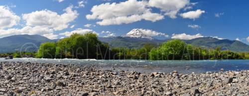 ID: 7516 (10109)