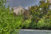 ID: 7961 (10109)