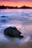 ID: 8351 (10105)