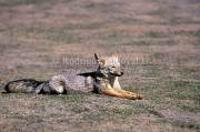 ID: 4904 (30201)