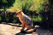 ID: 4905 (30201)